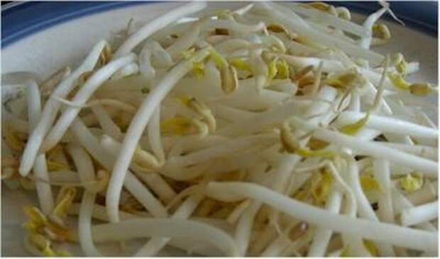 Bean Sprouts