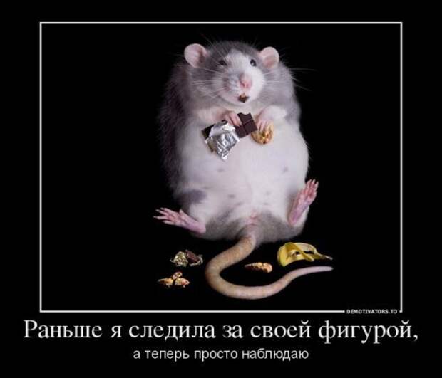 Жизнерадостные демотиваторы - приколы вокруг нас