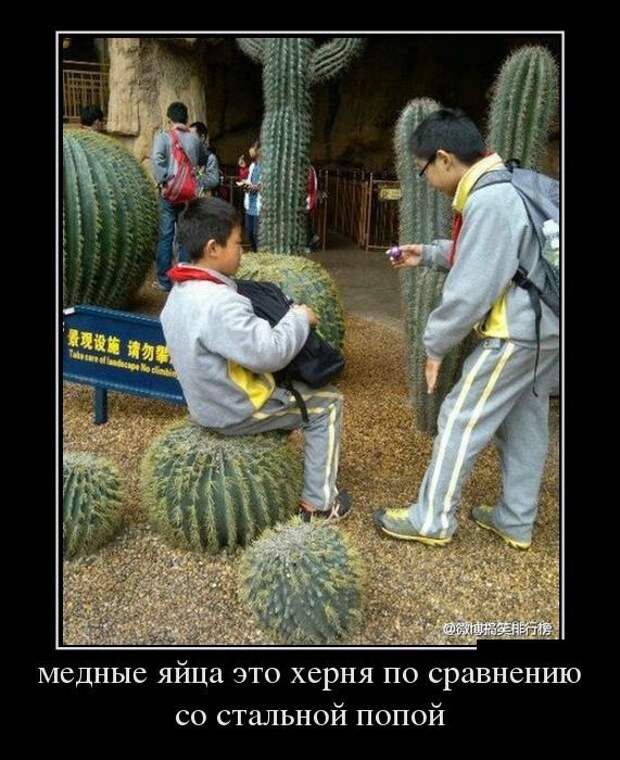 Картинки с подписями