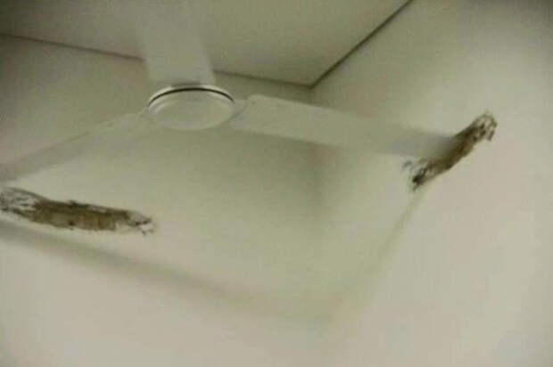 15 архитектурных ляпов, поражающих воображение! 15 архитектурных ляпов, поражающих воображение!