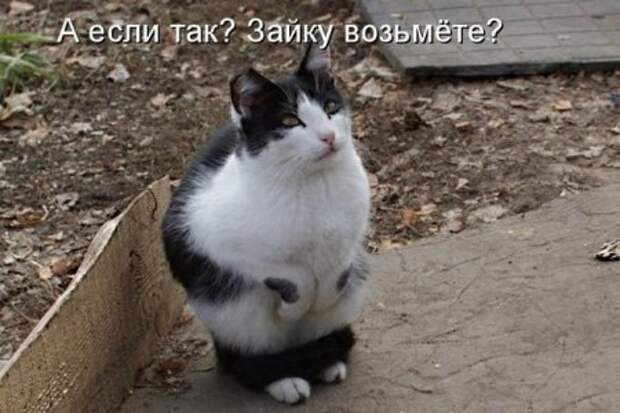Работа не волк, фото приколы тоже не волк.