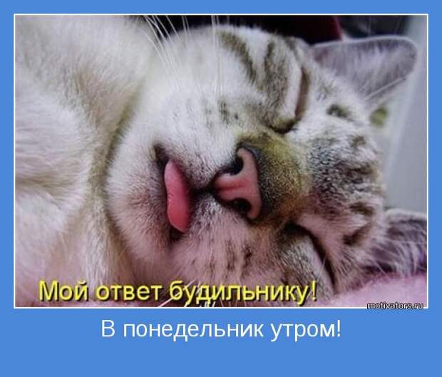 Утренние мотиваторы (78 фото) Утренние мотиваторы (78 фото)