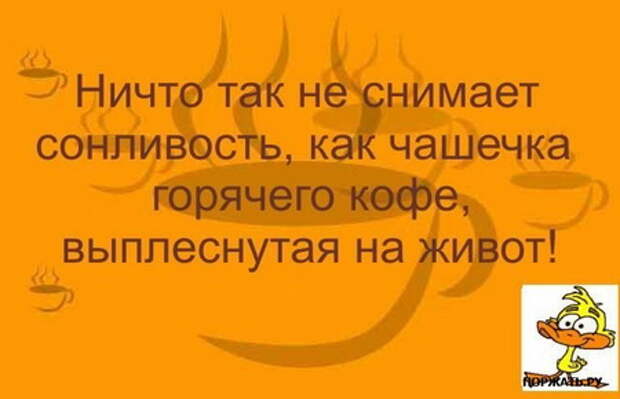 Пятничные приколы (24 фото)