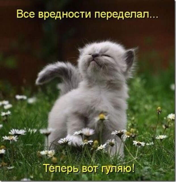 image (464x480, 156Kb)