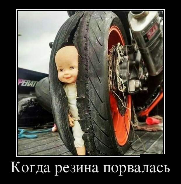 Пятничная подборка демотиваторов демотиватор, юмор