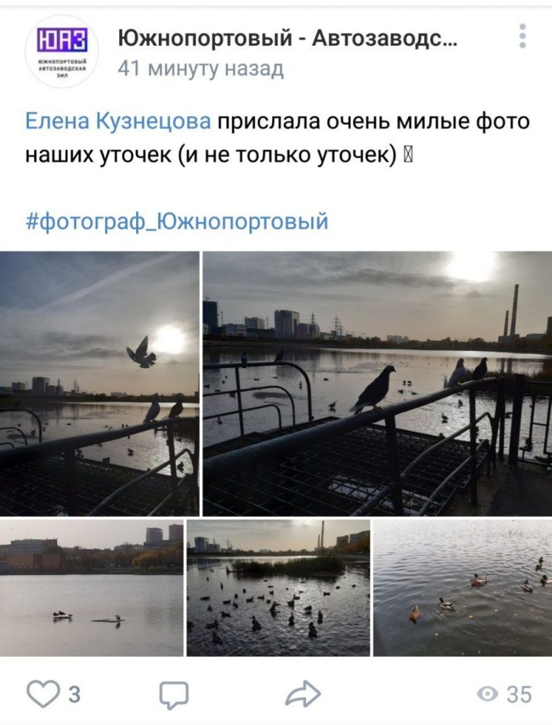Фото дня: обитатели Кожуховского затона