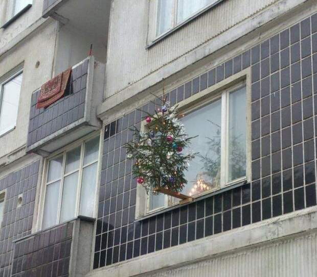 Фотоприколы кучей