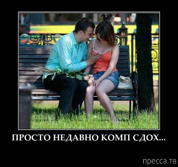Демотиваторы (30 фото) Демотиваторы (30 фото)