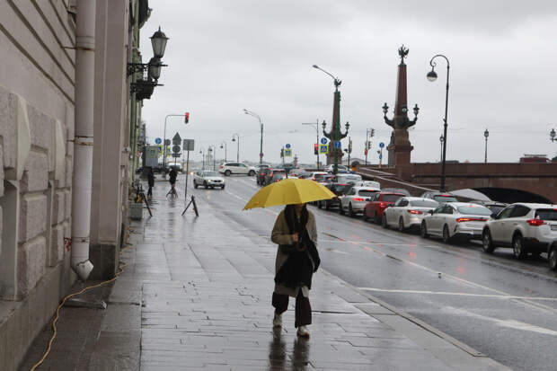 В Петербурге 25 апреля циклон «Бирута» принесет дожди