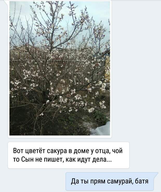 Подборка забористых родительских трололо-смс Подборка забористых родительских трололо-смс