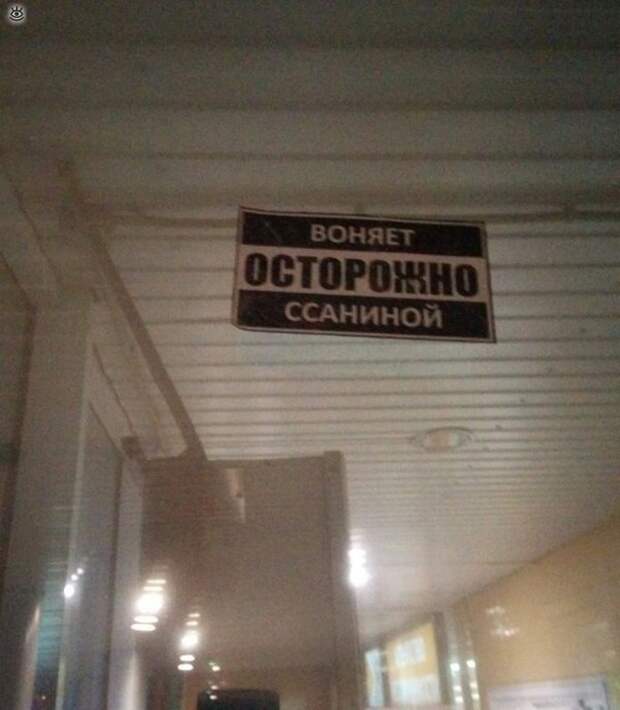 Фотографии с позитивом 24