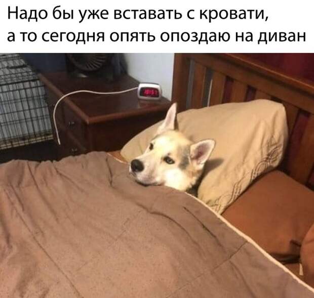 www.vsyako.net