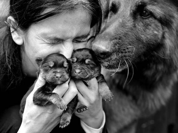 семейные фотографии от себастьяна лучиво (5)
