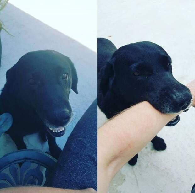 Прикольные картинки. Дневной выпуск (59 фото)