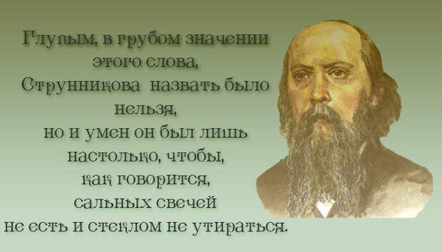 20 метких цитат Салтыкова-Щедрина: не в бровь, а в глаз салтыков-щедрин, цитаты