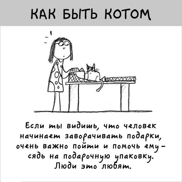 как правильно быть котом