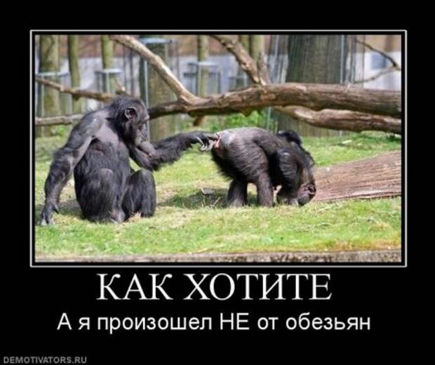 пятничные уматные демки)