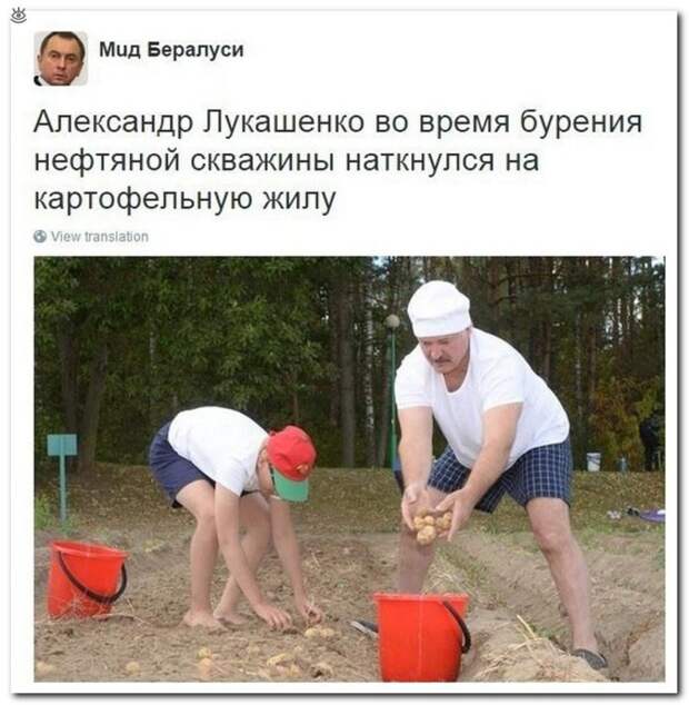 Весёлости-комментарии 28