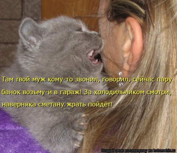 Новая котоматрица на Бугаге (39 фото)