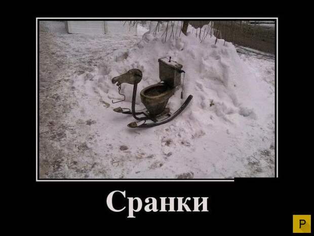 Зри в корень  (32 фото)