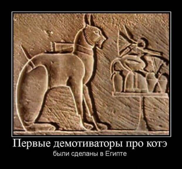 Демотиваторы, смешные приколы.