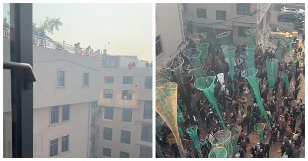 В Китае новосёлы «ловят удачу» сачками