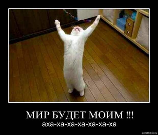 Демотиваторы фото приколы картинки с надписями.