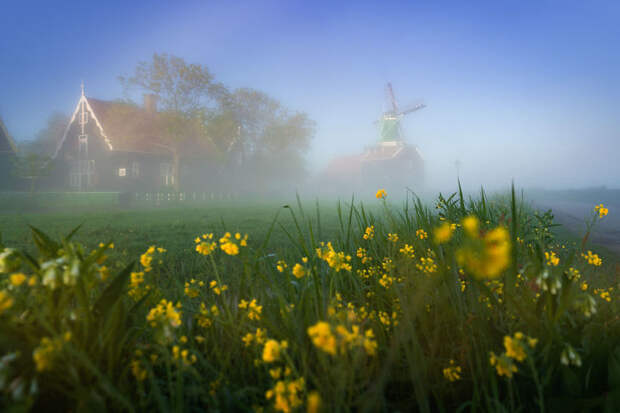 Голландские ветряные мельницы в тумане — одно из самых волшебных зрелищ в мире