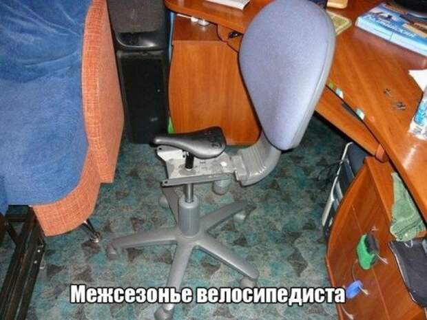 Прикольные картинки дня (36 шт)