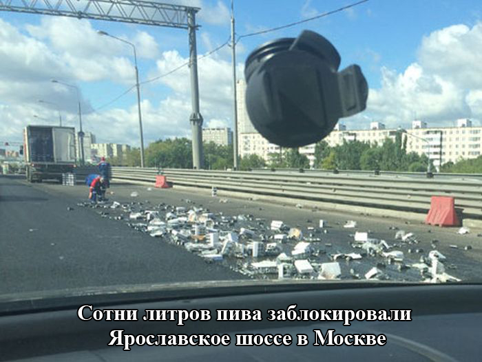 Прикольные картинки (102 фото)