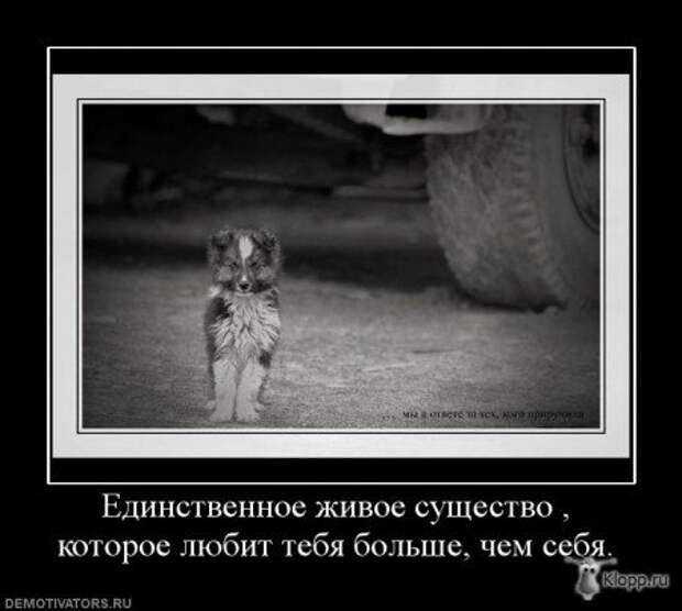 Демотиваторы со смыслом про одиночество, фото плюс текст.