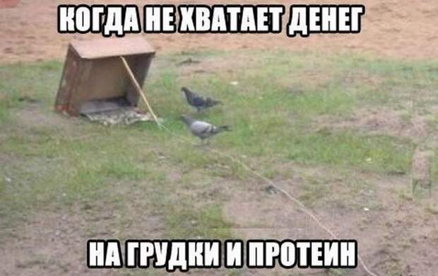 Подборка прикольных фото №1146 (98 фото)