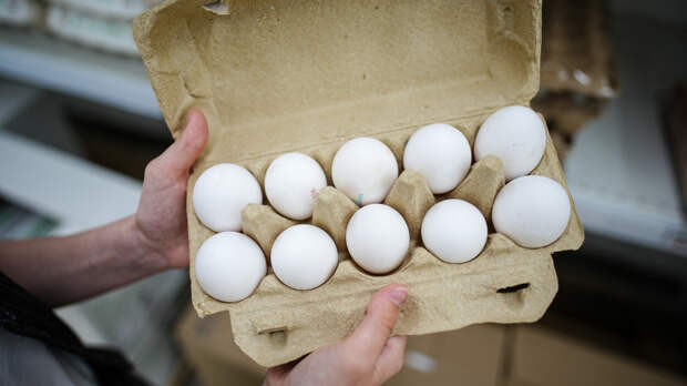 Яйца больше не «враг»: ученые пересмотрели влияние продукта на холестерин