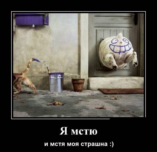 Демотиваторы демотиваторы, юмор