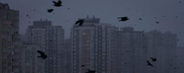 «Нам не хватило ума приготовиться к блэкауту» – украинский энергетик развёл руками