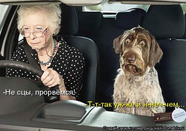 Котоматрица - -Не сцы, прорвёмся! -Т-т-так уж-же и н-неч-чем...