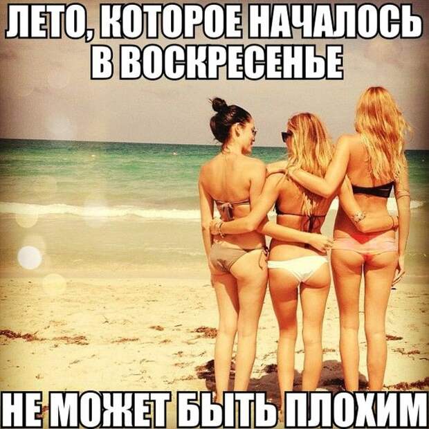 Смешные картинки с подписями катинки, прикол, юмор