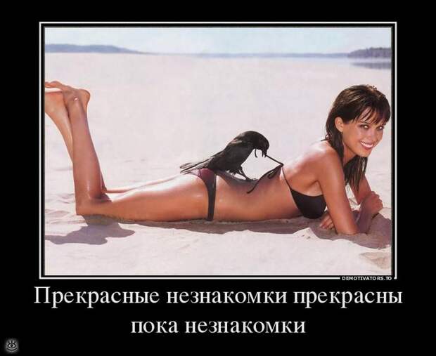 Будьте настойчивы! 0