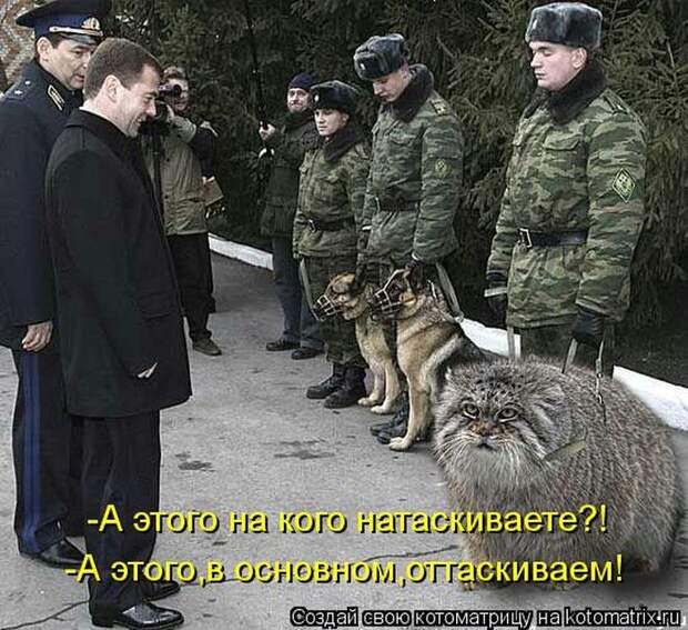 Мысли вслух Мысли вслух