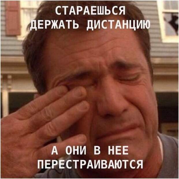 автоприколы