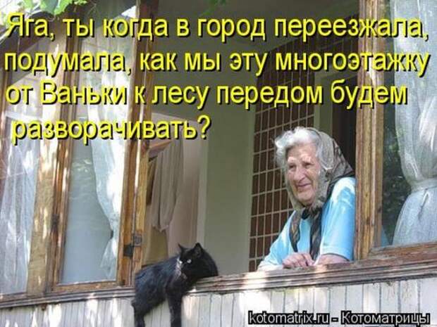 котоматрицы (50 фото) котоматрицы (50 фото)