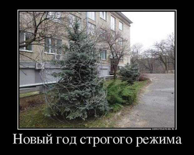 Свежие демотиваторы-приколы (14 шт)