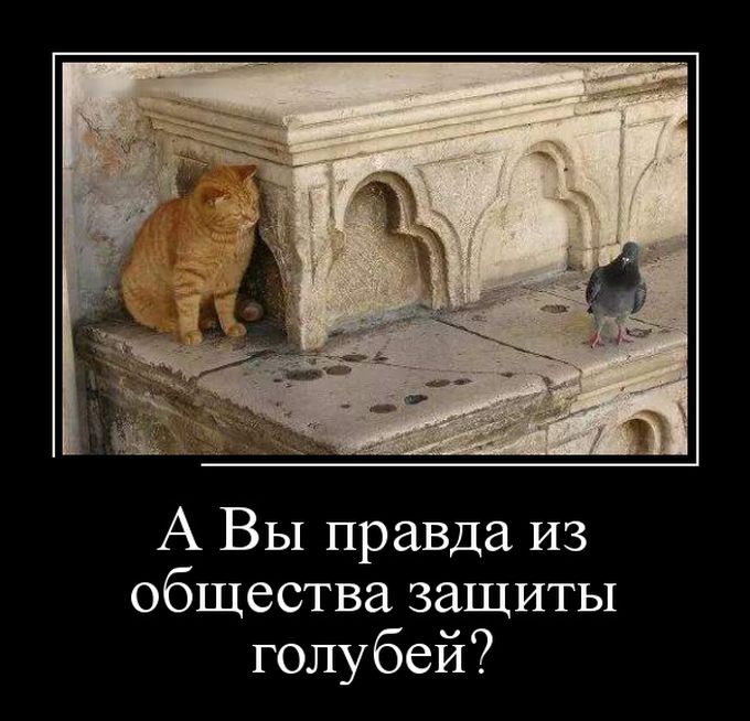 Демотиваторы (30 фото)