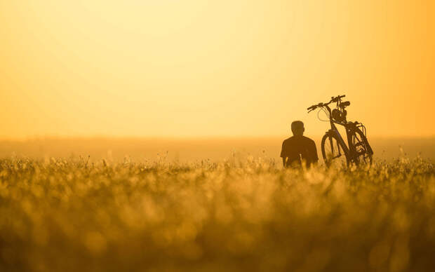 В полях Германии В полях Германии