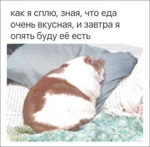 Me sleeping and knowing the food is delicious and tomorrow I'm gonna eat it again мемы, прикол, юмор
