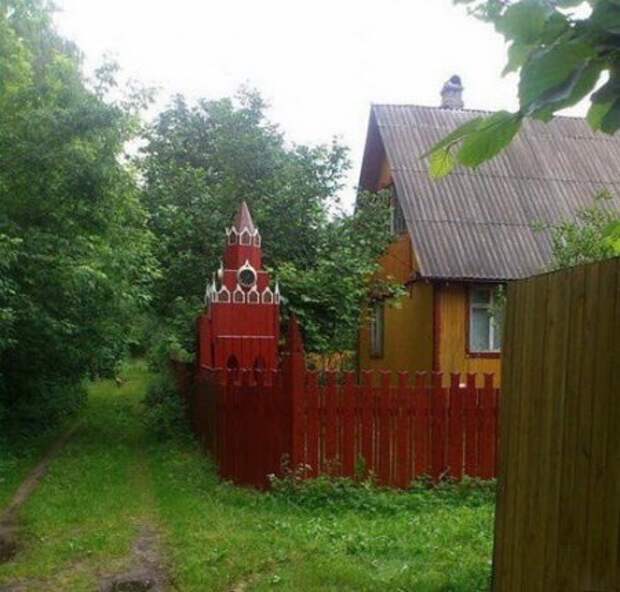 Фото приколы по полной.