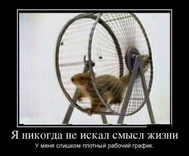 Подборка демотиваторов демотиватор, юмор