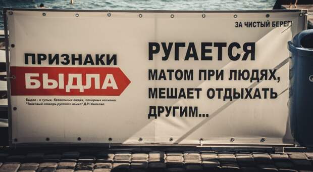 Признаки быдла быдло, грубость, общество, скот, стадо