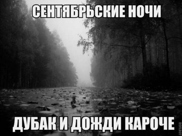 Прикольные фотомемки для настроения Прикольные фотомемки для настроения