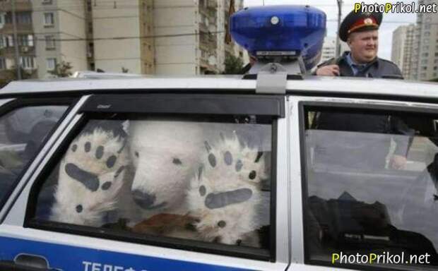 Автоприколы (48 фото) Автоприколы (48 фото)